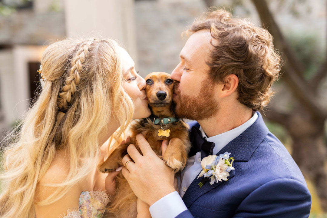 Bride and groom with family pup