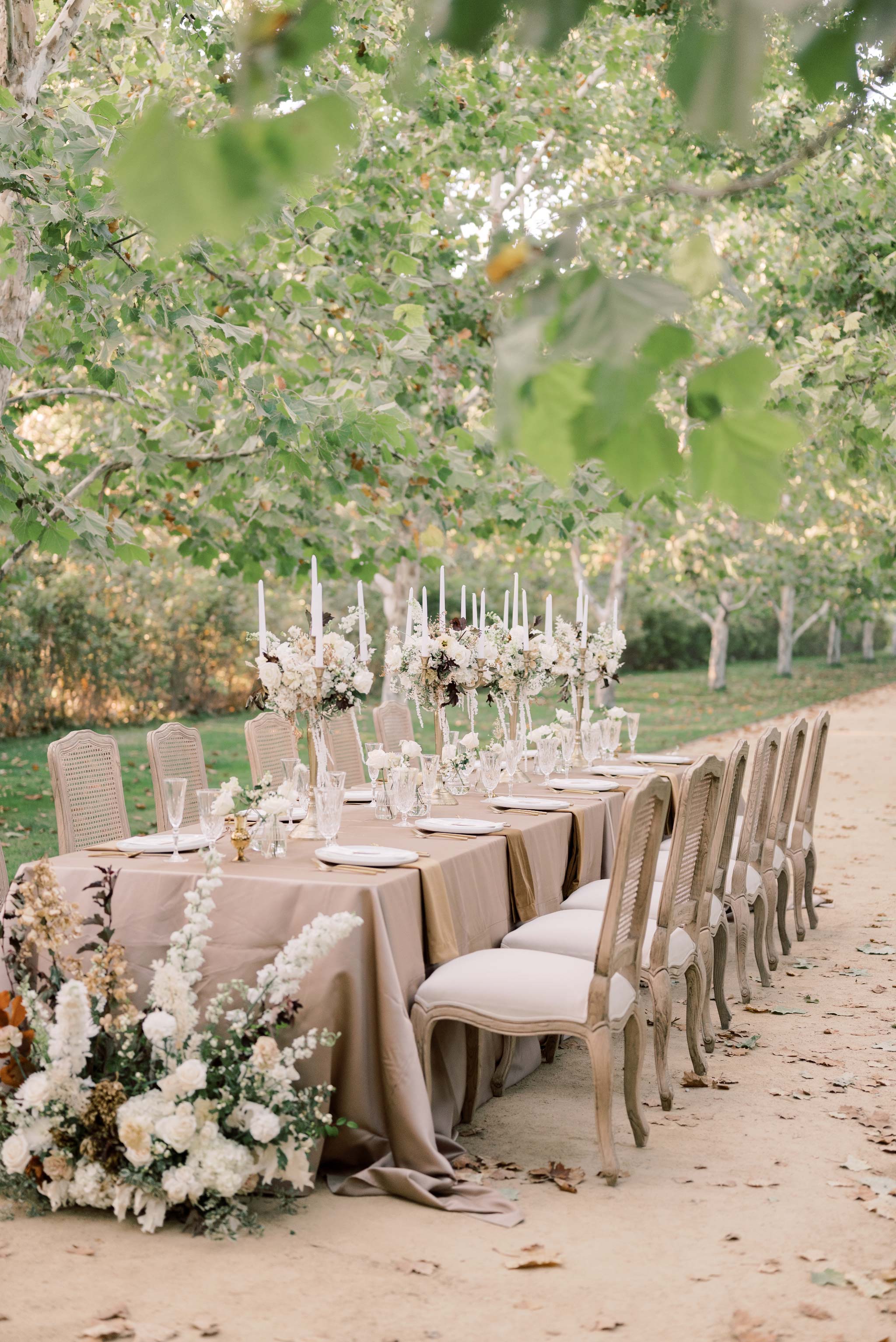Wedding Tabletop design + Rentals