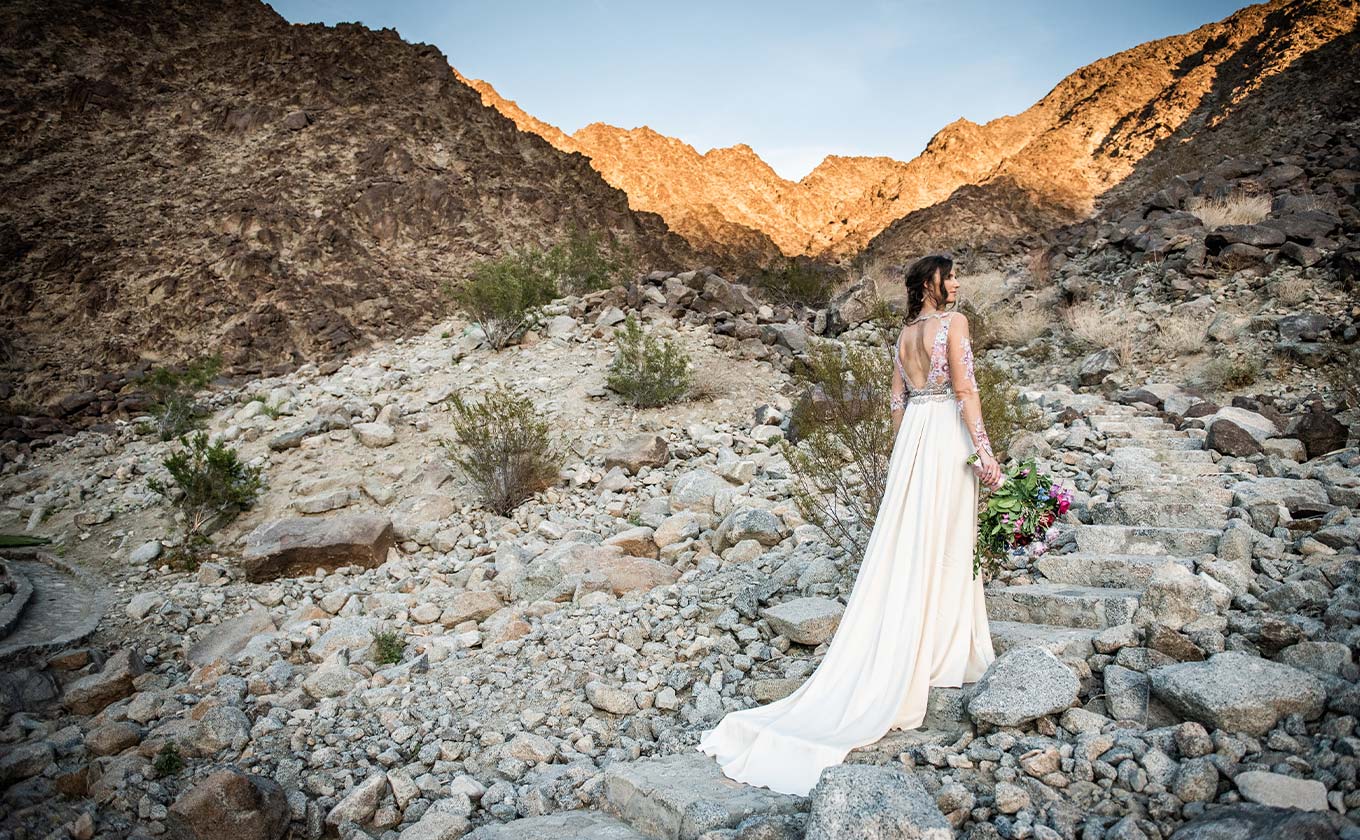 Bride Lindsey in wedding dress with desert landscape