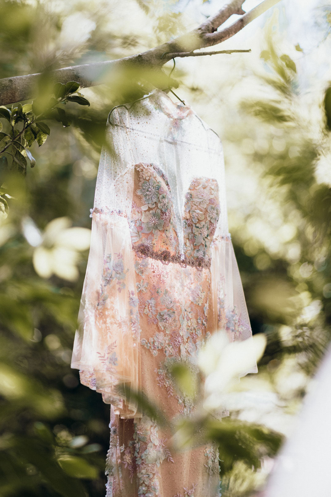 Venus Colorful Wedding Dress by Claire Pettibone on Hanger