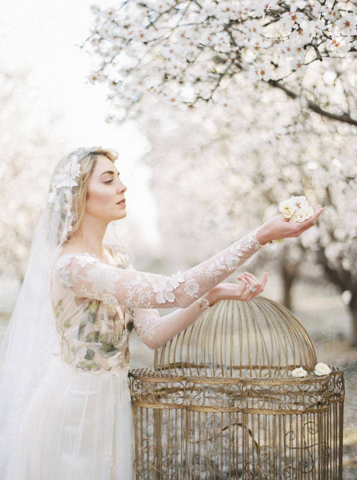 Claire Pettibone Primavera Gown