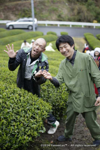 Kyoto Obubu Tea Farms - Akky & Matsu