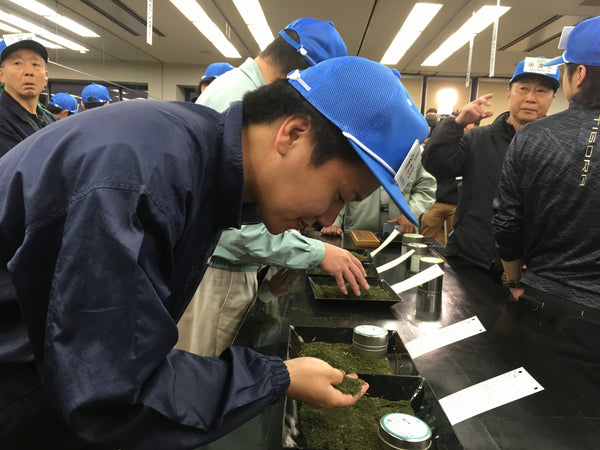 Takuya Homme Selects Tea Leaves at Auction