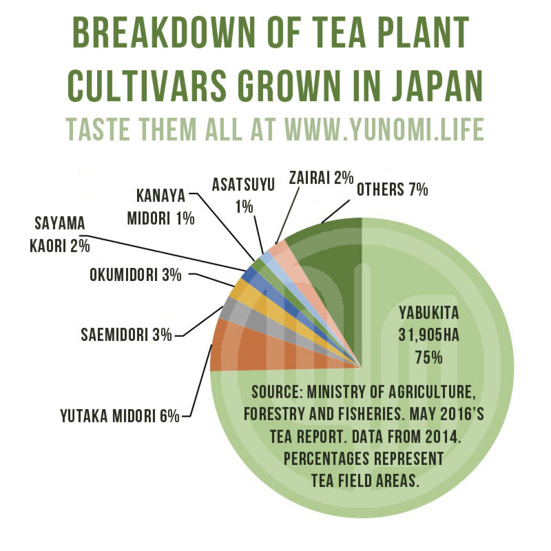 Breakdown of tea plant cultivars most commonly grown in Japan