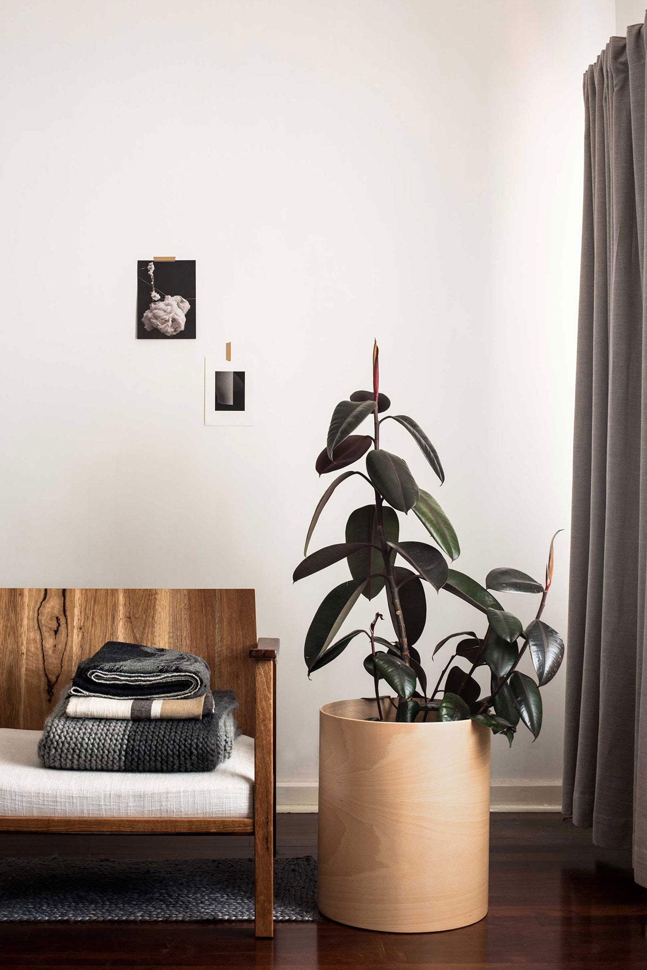 Meghan Plowman Plyroom Flor Pot Plant Living 