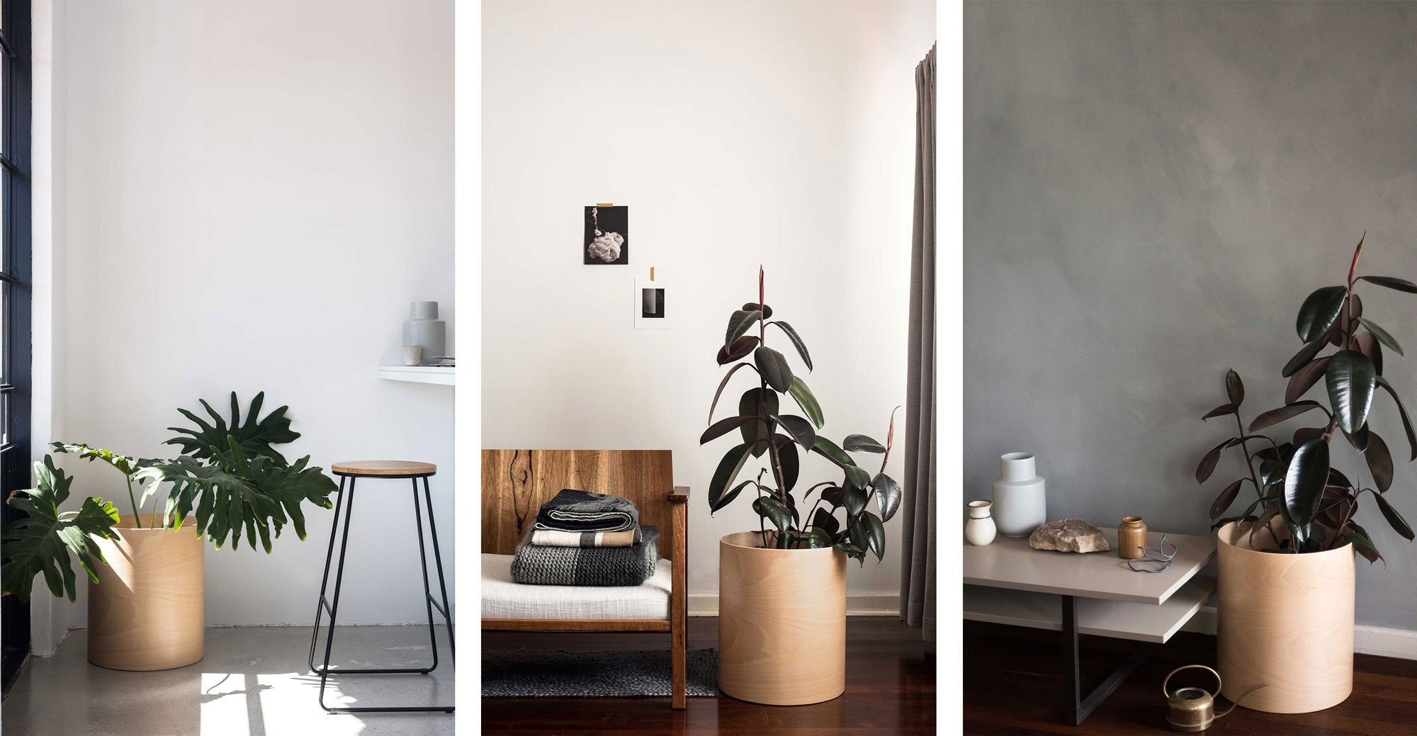 Natural light, indoor plants and modern furniture styled by Meghan Plowman
