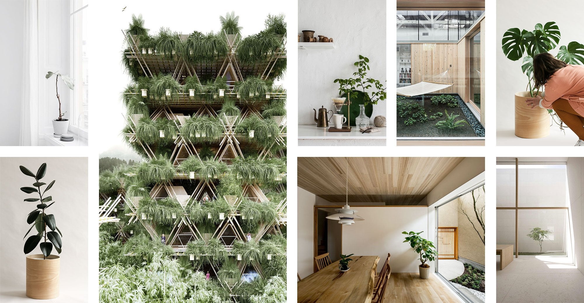Inspiration for indoor plants and architecture 