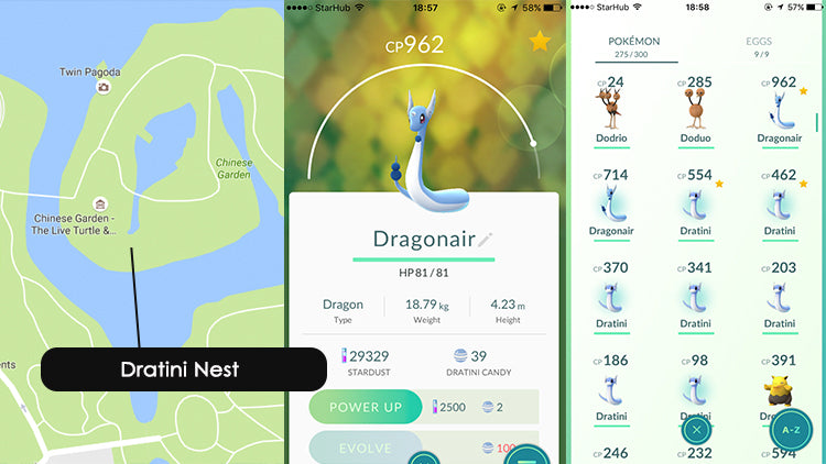 Dratini nests and spawn locations