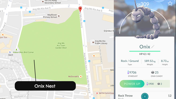 Onix nests and spawn locations