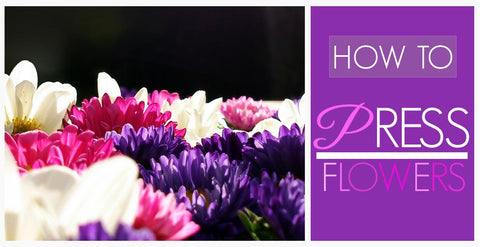 How to Press Flowers