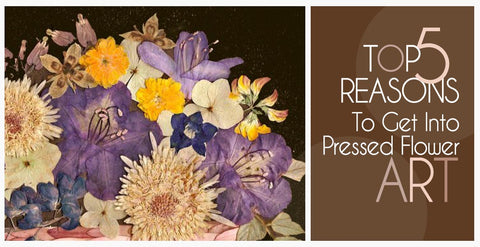  Top Five Reasons To Get Into Pressed Flower Art