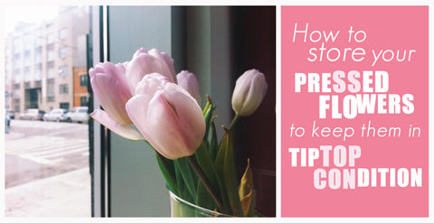 How to store your pressed flowers to keep them in tiptop condition