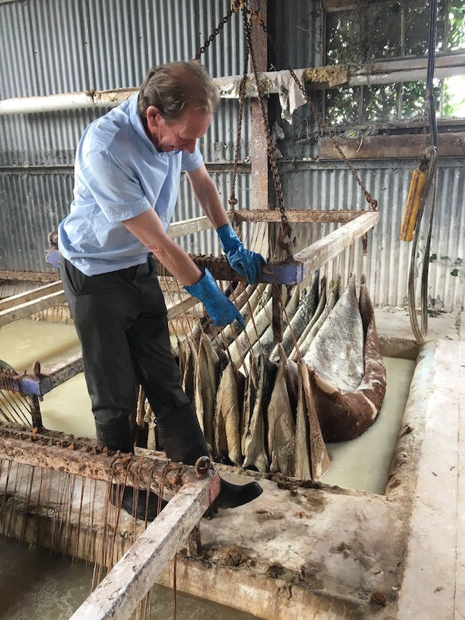 Removing hair from the hides -  - Oak Bark Leather Tannery in Britain