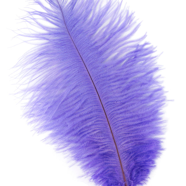 feather drabs