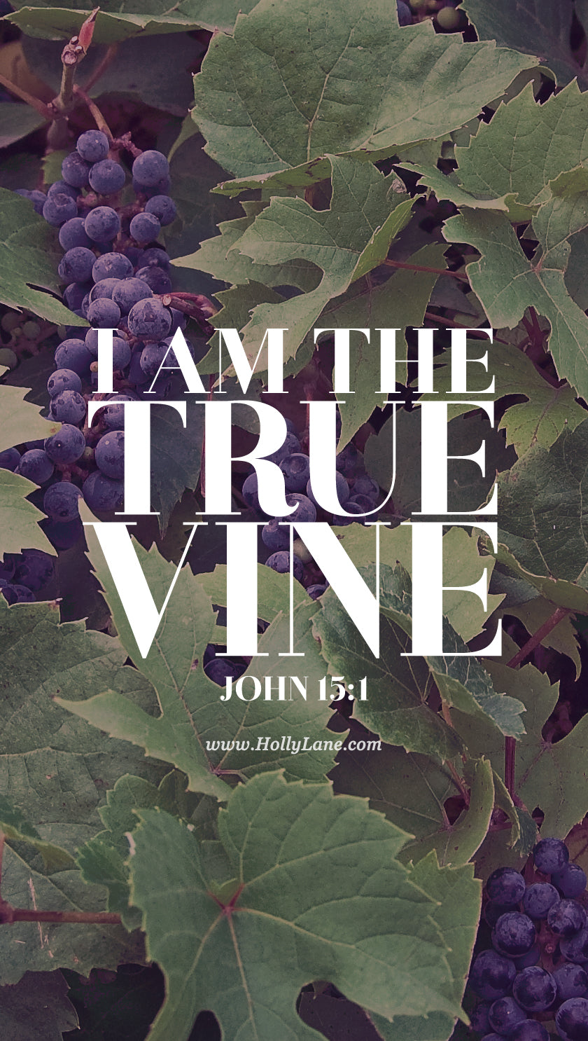 "I am the true vine, and my Father is the gardener. He cuts off every branch in me that bears no fruit, while every branch that does bear fruit he prunes so that it will be even more fruitful." John 15:1-2 Free mobile wallpaper by hollylane.com