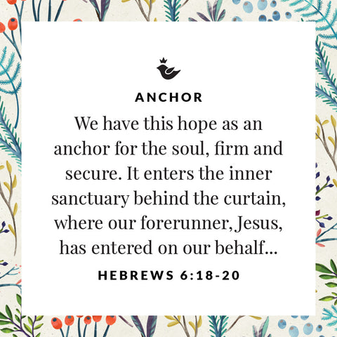 We have this hope as an anchor for the soul, firm and secure. It enters the inner sanctuary behind the curtain, where our forerunner, Jesus, has entered on our behalf... Hebrews 6:18-20