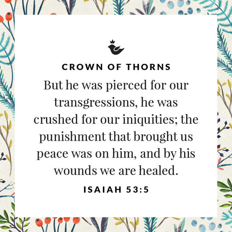But he was pierced for our transgressions, he was crushed for our iniquities; the punishment that brought us peace was on him, and by his wounds we are healed. Isaiah 53:5