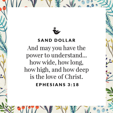 And may you have the power to understand... how wide, how long,  how high, and how deep  is the love of Christ.  Ephesians 3:18