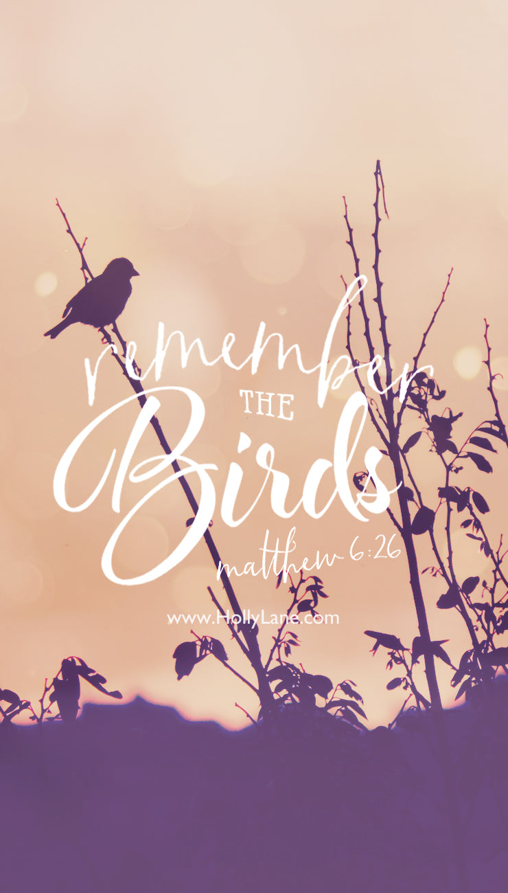 Look at the birds in the sky. They do not store food for winter. They don’t plant gardens. They do not sow or reap—and yet, they are always fed because your heavenly Father feeds them. And you are even more precious to Him than a beautiful bird. If He looks after them, of course He will look after you. Worrying does not do any good; who here can claim to add even an hour to his life by worrying? Matthew 6:26-27 Free mobile wallpaper by hollylane.com