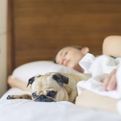 The Ancient Chinese Secret To Better Sleep Balance Blends