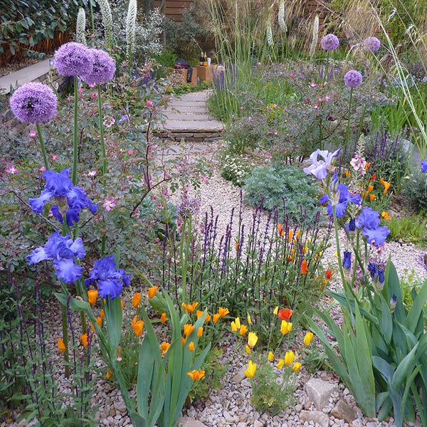 Show garden with irises at Chelsea Flower Show