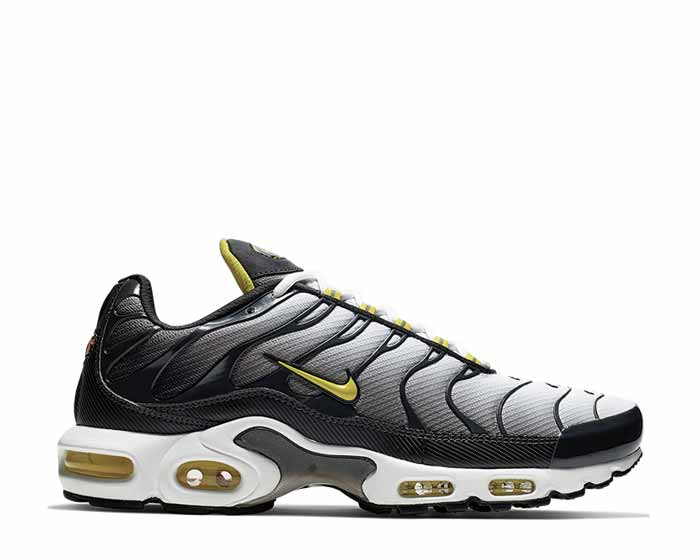 Nike Air Max Plus Anthracite CI2299-002 