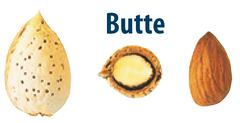 butte_almond