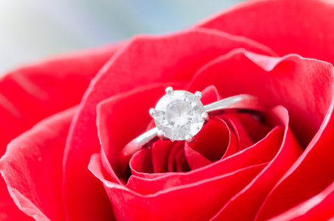 Engagement ring on red rose