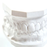 Dental Model