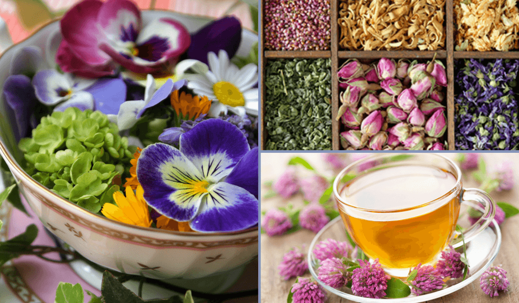 Flowers in Tea - Silver Tips Tea Blog