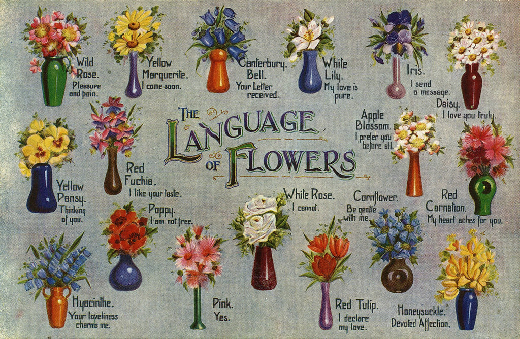 The Language of Flowers - Silver Tips Tea Blog