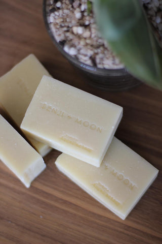 Benji + Moon | All Natural Dog Shampoo Bar