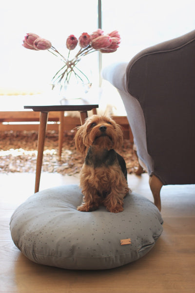 Benji + Moon | Constellation Fabric Pet Beds