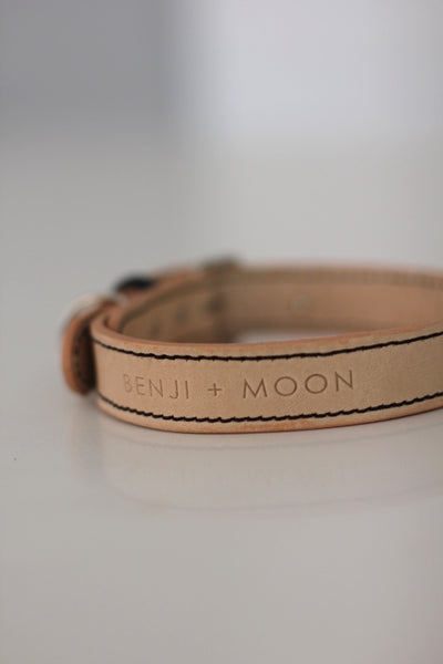 Leather Dog Collar