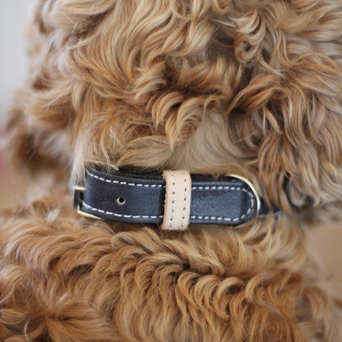 Benji + Moon | Leather dog collar black and beige