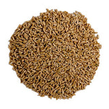 Spelt wheat kernel | Dinkel korn | Hong kong