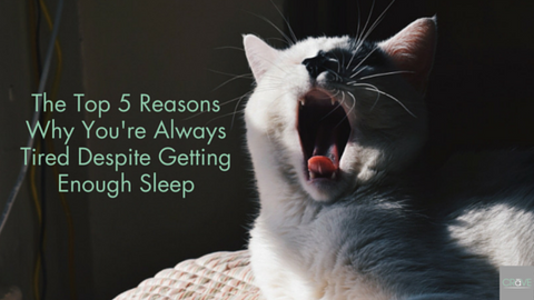 Top 5 reasons why you're always tired