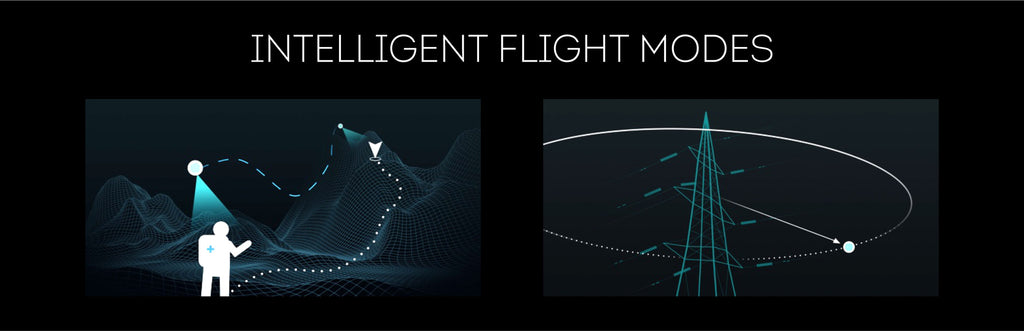 Matrice M200 | M210 | M210 RTK Flight Modes