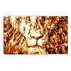 Eyes of the Lion Canvas Wall Art Print