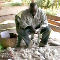 Metal Artisan in Haiti