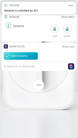 run sesame shortcut from widgets