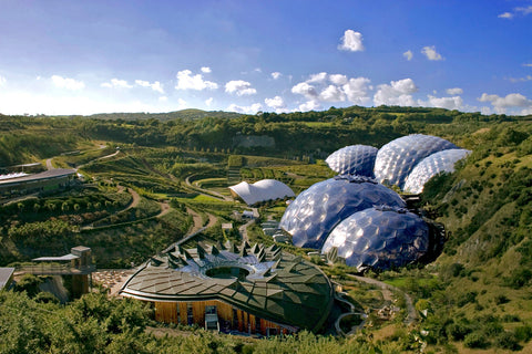 Chloe Tinsley, artist, Cards at Eden Project, Cornwall