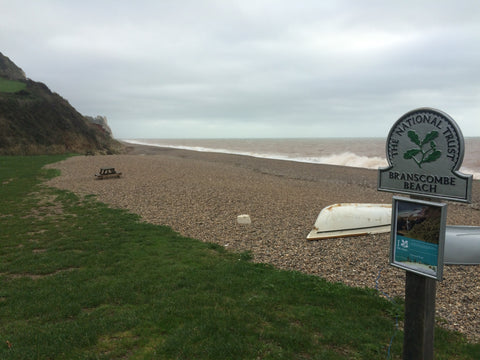 Painting on the National Trust's East Cliff at Branscombe, Devon