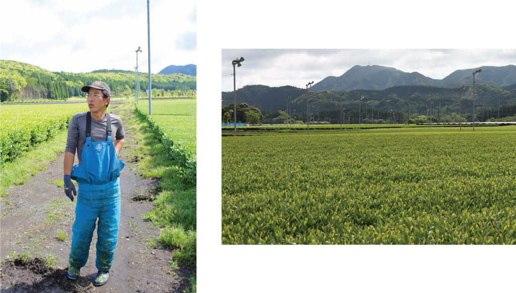 Bio Farm farmer; Bio Farm in Kagoshima