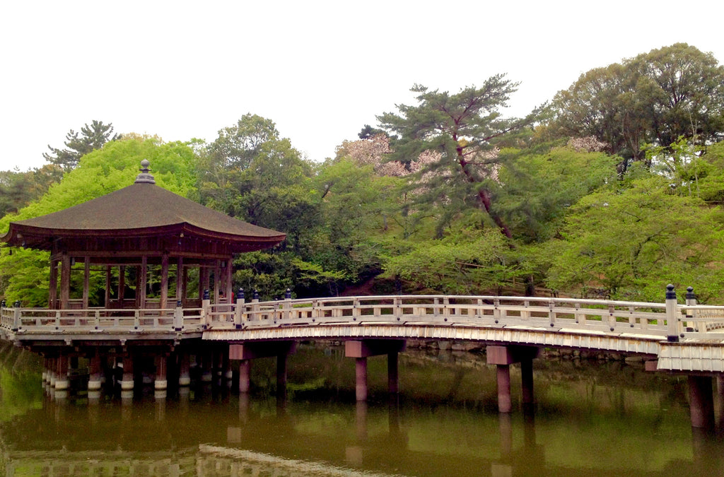 Japanese bridge in front of a forest