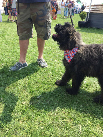 Mabel & Mu Stand with doggy modelling