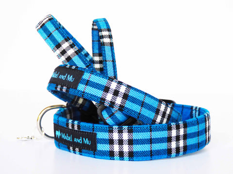 Costal Walks Dog Collar Range by Mabel & Mu