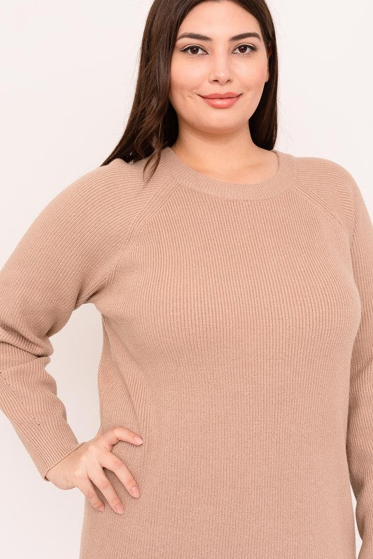 Crew Neck Long Sleeve Sweater Dress (Plus Size) – In Pursuit