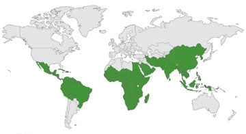 Countries where Moringa grows