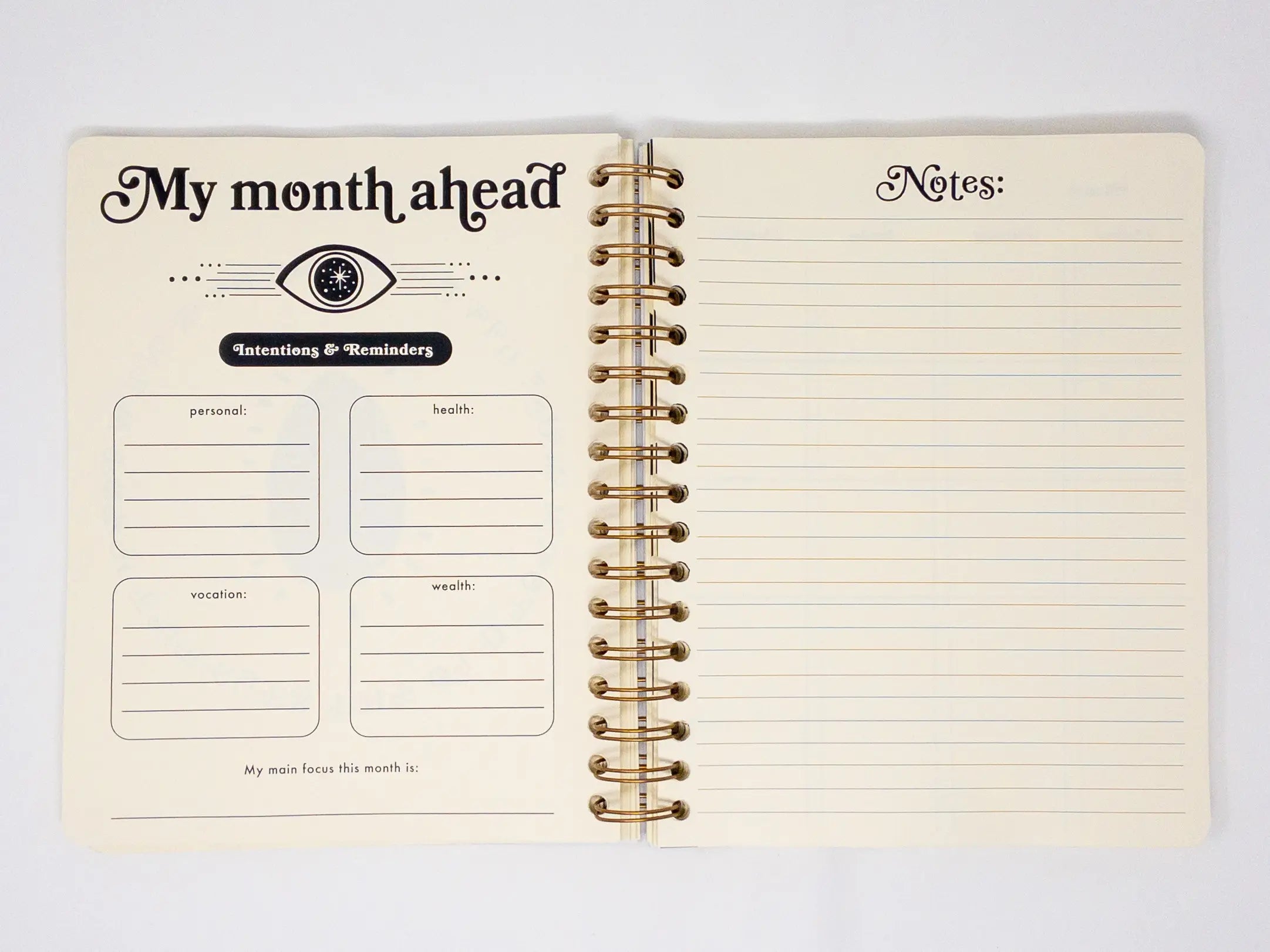 Seeing Eye Open Dated 12 Month Planner